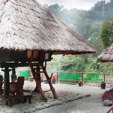 Rice Homestay Banaue Kültér fotó