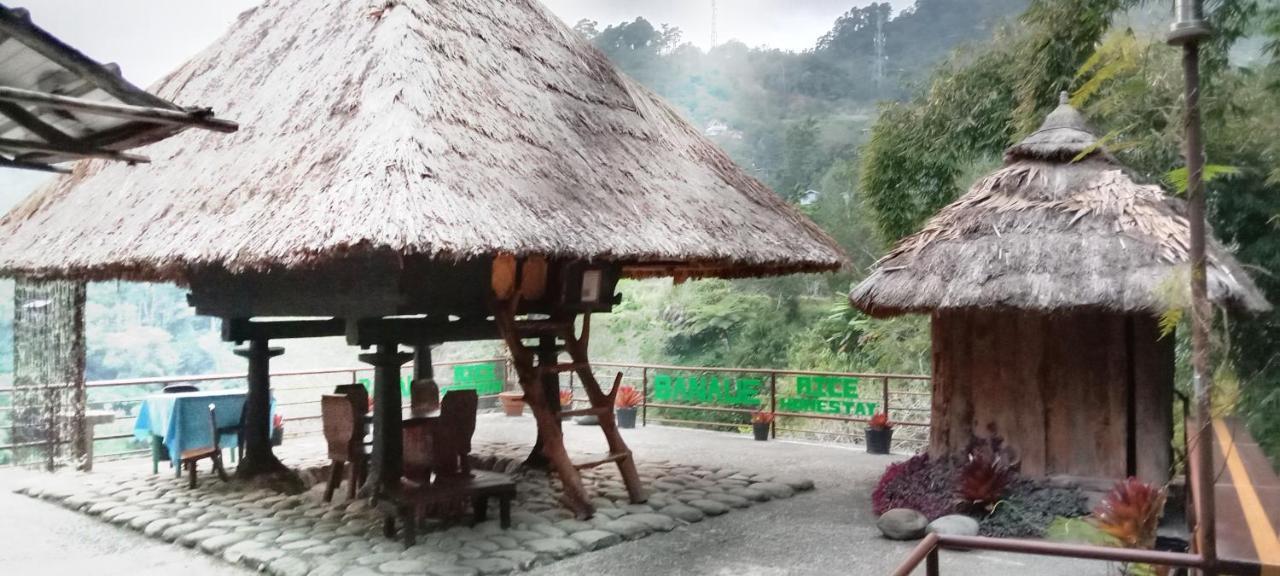 Rice Homestay Banaue Kültér fotó